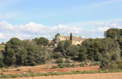 Casa señorial en venta Vila-rodona, Cataluña, Imagen 4/37