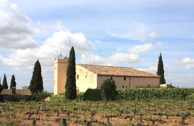 Casa señorial en venta Vila-rodona, Cataluña, Imagen 3/37