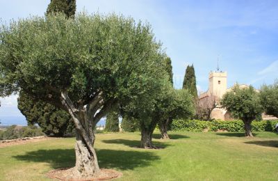 Casa señorial en venta Vila-rodona, Cataluña, Imagen 2/37