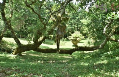 Mansión histórica en venta Bussac-sur-Charente, Nueva Aquitania, Imagen 23/33