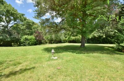 Mansión histórica en venta Bussac-sur-Charente, Nueva Aquitania, Imagen 26/33