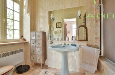 Mansión histórica en venta Bussac-sur-Charente, Nueva Aquitania, Imagen 14/33