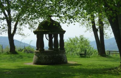 Castillo en venta 67330 Dossenheim-sur-Zinsel, HUNEBOURG, Grand-Est, Imagen 8/12