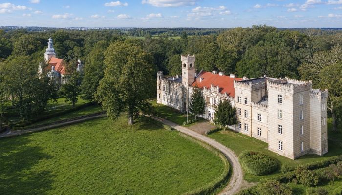Palacio en venta Gościeszyn, Gran Polonia