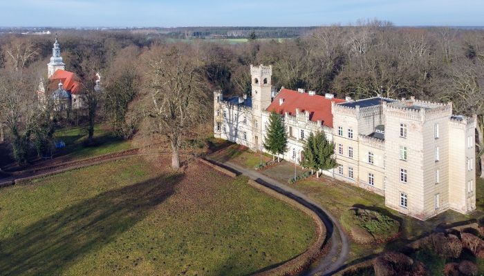 Palacio en venta Gościeszyn, województwo wielkopolskie,  Polonia