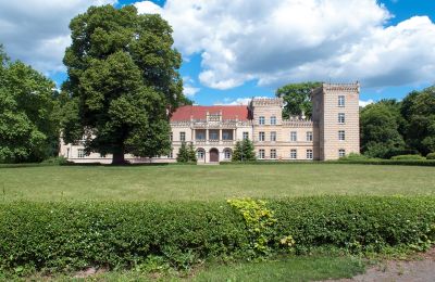 Palacio en venta Gościeszyn, Pałac w Gościeszynie, Gran Polonia, Pałac w Gościeszynie