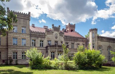 Palacio en venta Gościeszyn, Pałac w Gościeszynie, Gran Polonia, Vista posterior