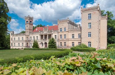 Palacio en venta Gościeszyn, Pałac w Gościeszynie, Gran Polonia, Vista exterior