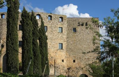 Castillo Granyanella, Cataluña