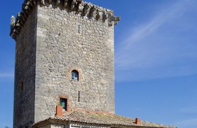 Propiedad histórica en venta Villadiego, Travesia de la iglesia S/n, Castilla y León,, Torre