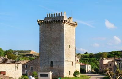 Propiedad histórica Villadiego, Castilla y León