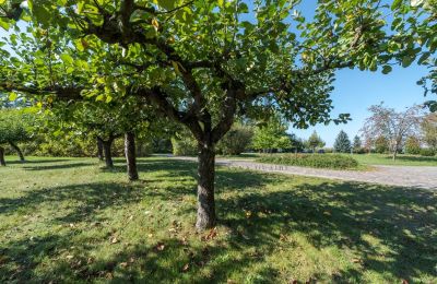 Casa señorial en venta Trębki Nowe, Voivodato de Mazovia, Imagen 25/35