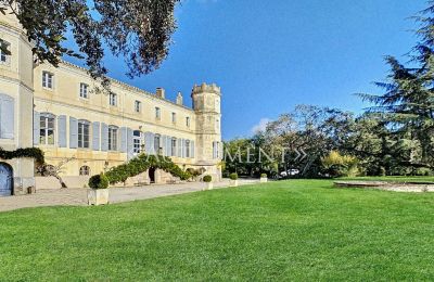 Casa señorial en venta Saint-Sulpice-la-Pointe, Occitania, Vista posterior