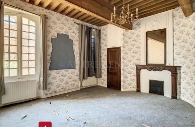 Inmueble histórico en venta Bessières, Occitania, Salón
