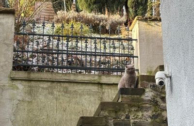 Mansión histórica en venta 58762 Altena, Bachstraße 66, Renania del Norte-Westfalia, außentreppe zum Garten