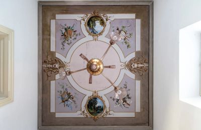 Villa histórica en venta Longone al Segrino, Lombardía, Techo