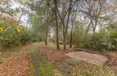 Villa histórica en venta Senigallia, Via Casini-Soccorso 1/A, Marcas, Imagen 32/39