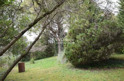 Villa histórica en venta Angoulême, Nueva Aquitania, Jardín