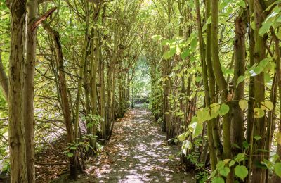 Mansión histórica en venta Charlottenburg-Wilmersdorf, Westend, Berlín, Lindenlaubengang 