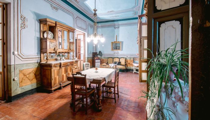  Chinchilla de Monte-Aragón 5