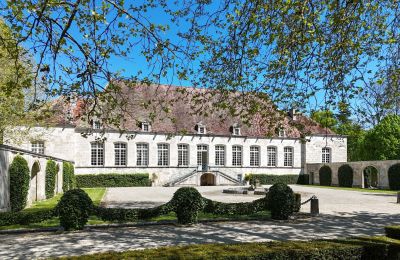 Casa señorial en venta Chaumont, Grand-Est, Jardín