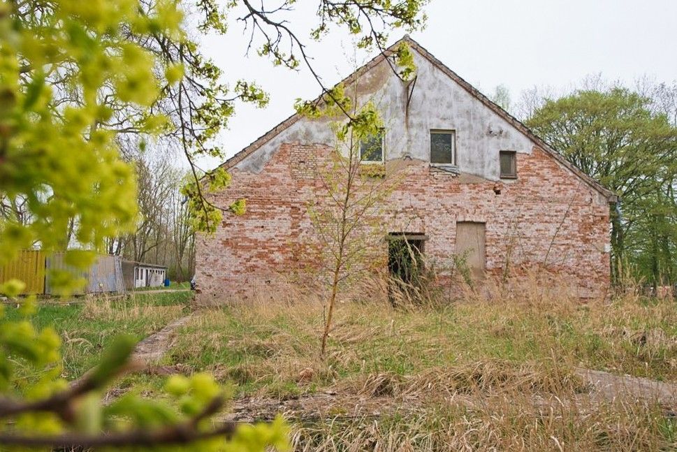 Fotos Sanierungsprojekt Gutshaus Mesekenhagen bei Greifswald