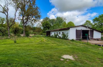 Castillo en venta 18513 Glewitz, Mecklemburgo-Pomerania Occidental, Stall (4)