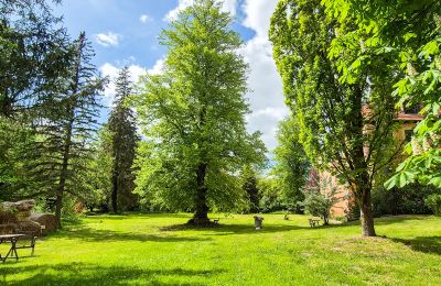 Castillo en venta 18513 Glewitz, Mecklemburgo-Pomerania Occidental, Außenbereich