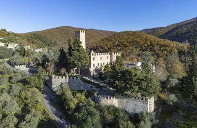 Castillo en venta Croci di Calenzano, Toscana, Entorno de la propiedad
