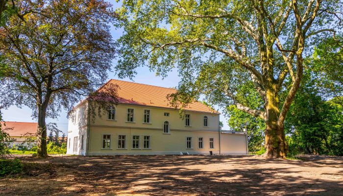  Środa Śląska 4