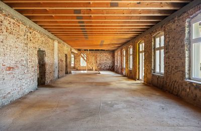 Palacio en venta Środa Śląska, Pałac w Wojczycach, Voivodato de Baja Silesia, Imagen 14/23