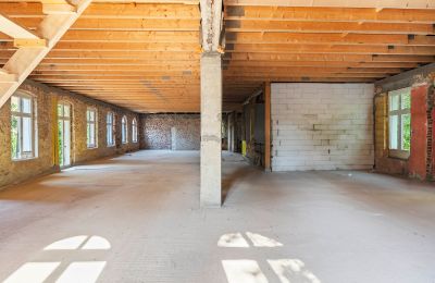 Palacio en venta Środa Śląska, Pałac w Wojczycach, Voivodato de Baja Silesia, Imagen 17/23