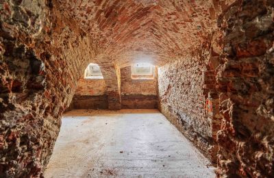 Palacio en venta Środa Śląska, Pałac w Wojczycach, Voivodato de Baja Silesia, Imagen 19/23