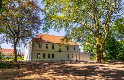 Palacio en venta Środa Śląska, Pałac w Wojczycach, Voivodato de Baja Silesia, Imagen 4/23