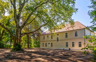 Palacio en venta Środa Śląska, Pałac w Wojczycach, Voivodato de Baja Silesia, Imagen 5/23