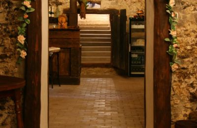 Casa señorial en venta Trnavský kraj, okres Hlohovec, Koplotovce, Frídeský kaštieľ, Trnavský kraj, Interiér pivnice