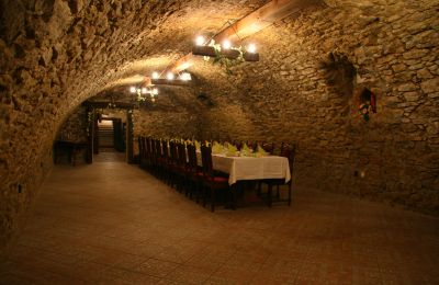 Casa señorial en venta Trnavský kraj, okres Hlohovec, Koplotovce, Frídeský kaštieľ, Trnavský kraj, Pivnica