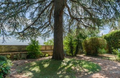 Mansión histórica en venta Montecalvoli, Toscana, Imagen 35/44