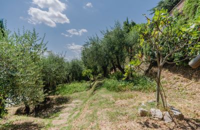 Mansión histórica en venta Montecalvoli, Toscana, Imagen 37/44