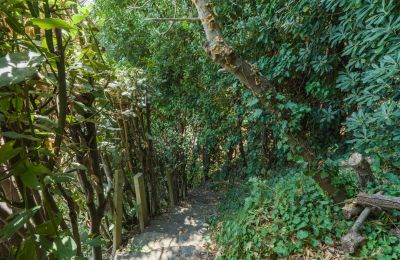 Mansión histórica en venta Montecalvoli, Toscana, Imagen 39/44