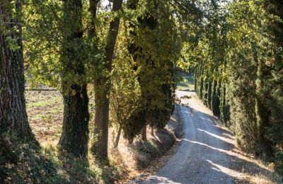 Mansión histórica en venta Torrenieri, Toscana, Acceso