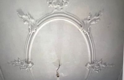 Palacio en venta Baden-Wurtemberg, Imagen 33/37
