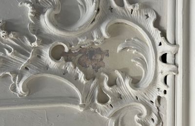 Palacio en venta Baden-Wurtemberg, Imagen 31/37