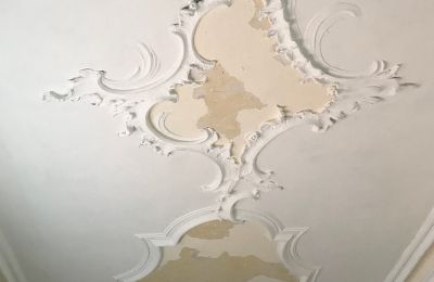 Palacio en venta Baden-Wurtemberg, Imagen 17/26