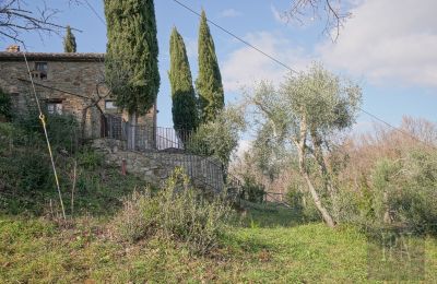 Casa de campo en venta Cortona, Toscana, Imagen 14/35