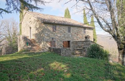 Casa de campo en venta Cortona, Toscana, Imagen 8/35