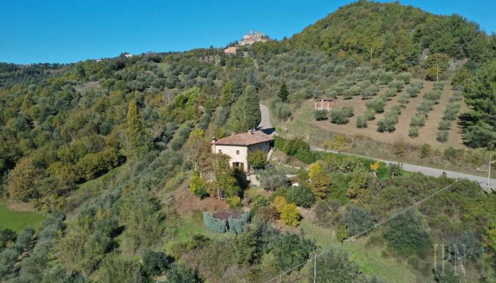  Monte Santa Maria Tiberina 1