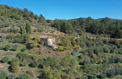 Casa de campo en venta 06010 Monte Santa Maria Tiberina, Umbría, Imagen 3/28