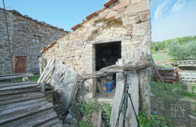 Villa histórica en venta Monterchi, Toscana, Imagen 14/24