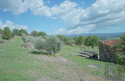 Villa histórica en venta Monterchi, Toscana, Imagen 22/24